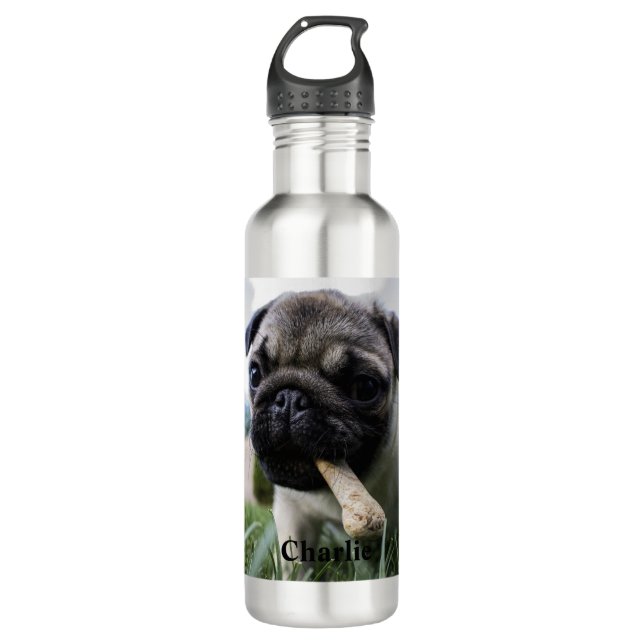 Personalized Pug Dog Photo and Name Stainless Steel Water Bottle (Front)