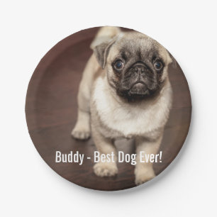 Personalized Pug Dog Photo and Your Pug Dog Name Paper Plates