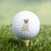 Personalized Pug