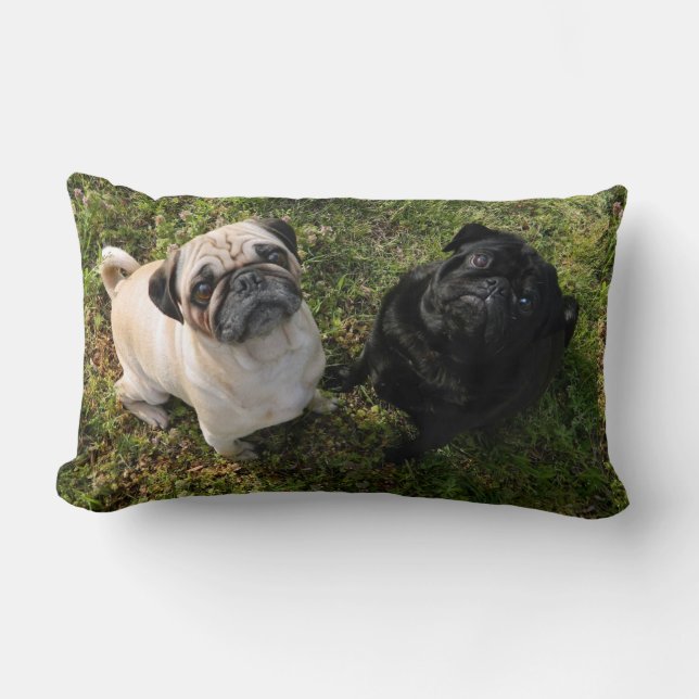 Personalized Pug Pillow, black and white Pugs, NEW Lumbar Pillow (Front)