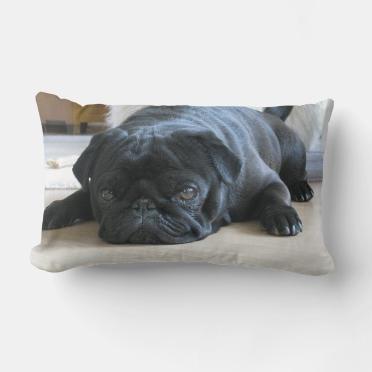 Personalized Pug Pillow, black pug puppy, cute Lumbar Pillow | Zazzle