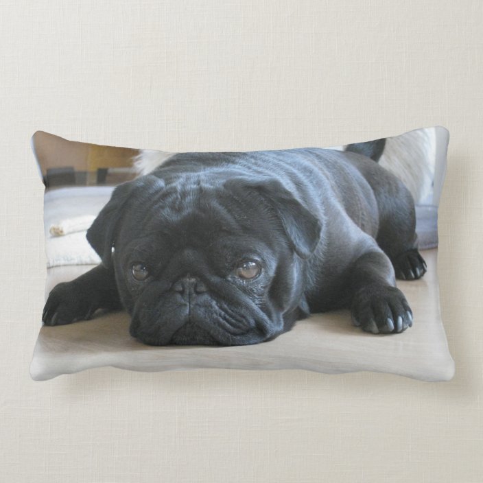 large pug pillow