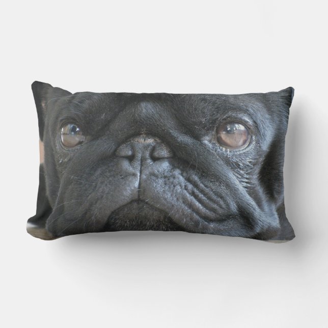 Personalized Pug Pillow, black pug puppy, face Lumbar Pillow (Front)