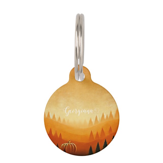 Personalized Pumpkin Harvest Autumnal Harvest Pet ID Tag (Front)