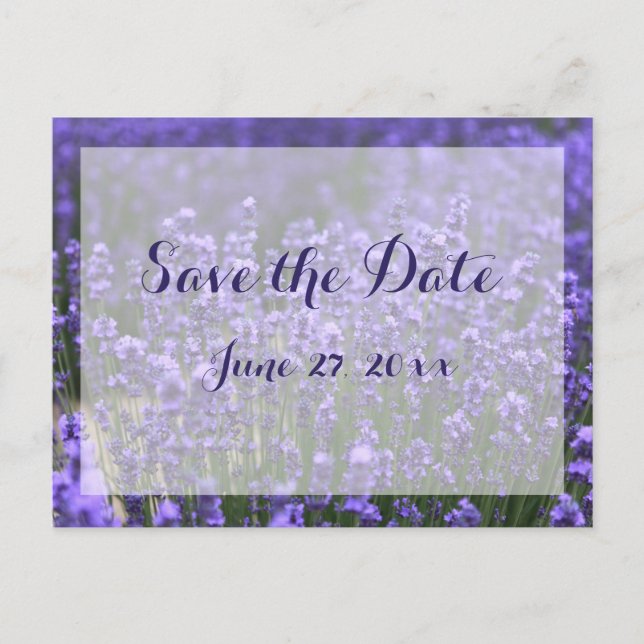 Personalized Purple Lavender Save The Dates Announcement Postcard (Front)