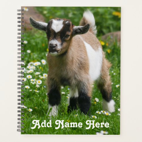 Personalized Pygmy Dwarf Goat Kid Planner