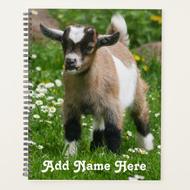 Personalized Pygmy Dwarf Goat Kid Planner (Front)
