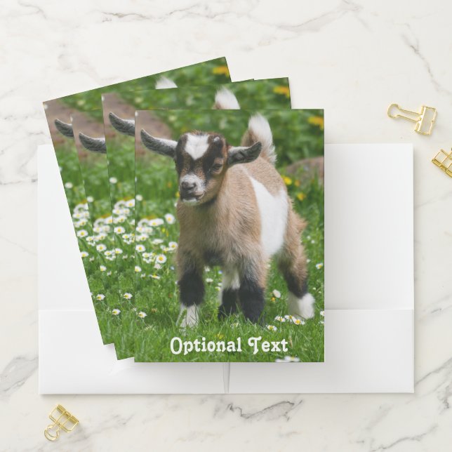 Personalized Pygmy Dwarf Goat Kid Pocket Folder (In Situ)