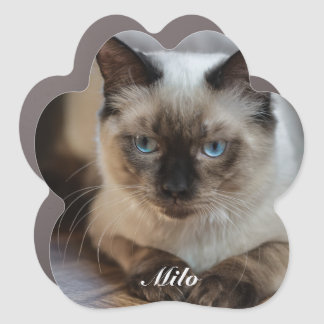 Personalized Ragdoll Cat Photo and Name Car Magnet