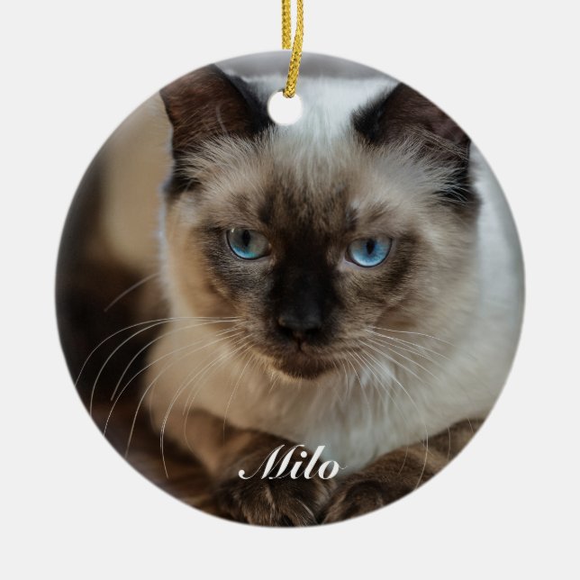 Personalized Ragdoll Cat Photo and Name Ceramic Ornament (Front)