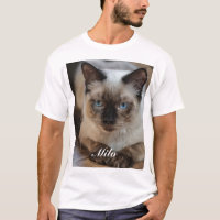 Personalized Ragdoll Cat Photo and Name