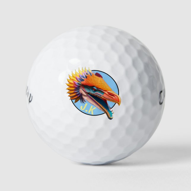 Personalized Raptor Callaway Warbird Golf Balls (Front)