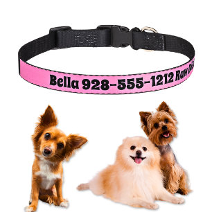 Personalized Raw Diet Dog If Lost Call Pet Collar