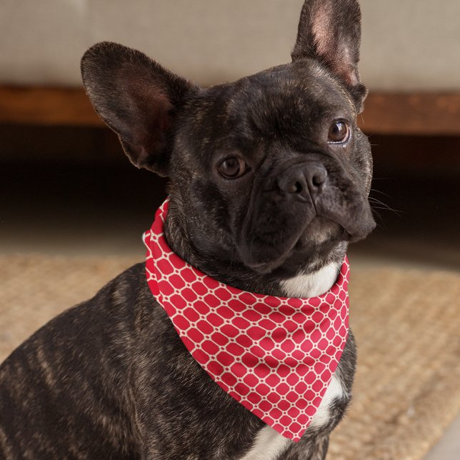 Personalized Red Diamond Checker with Bone Motif Bandana (Creator Uploaded)