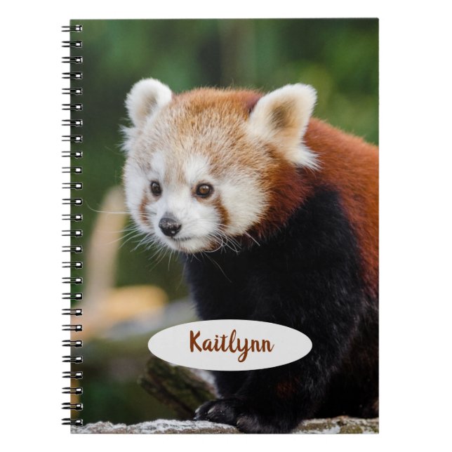 Personalized Red Panda Notebook (Front)