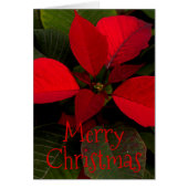 Personalized Red Poinsettia Leaf (Front)