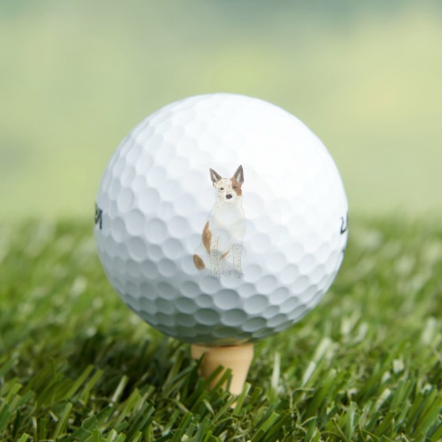 Personalized Red & White Heeler Cattledog Golf Balls (Insitu Tee)
