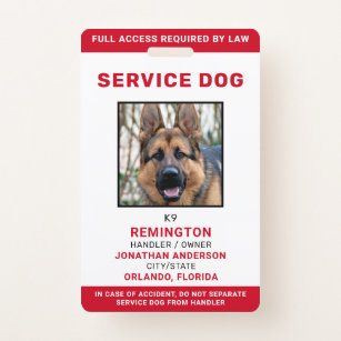 Service Dog ID Tag and Badge combo custom photo id for pet yellow 