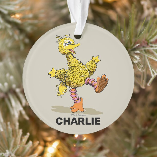 Personalized Retro Art Big Bird Ornament (Tree)