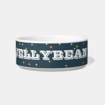Personalized Retro Pet Bowl: Bright and Fun