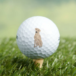 Personalized Rhodesian Ridgeback Golf Balls