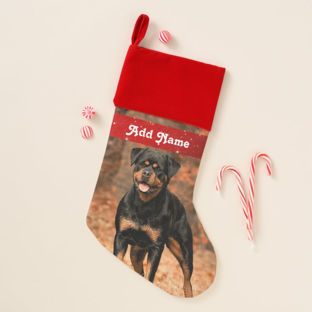 Personalized Rottweiler Dog Christmas Stocking (Front)
