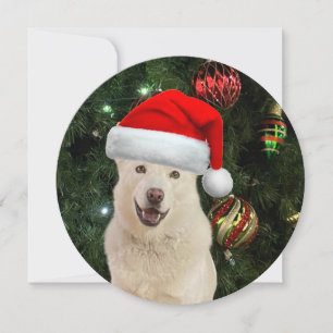 Personalized Round Santa Paws Husky Christmas Holiday Card