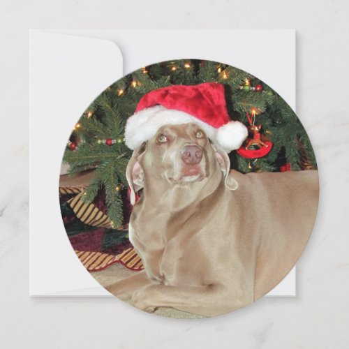 Personalized Round Weimaraner Dog Christmas Holiday Card