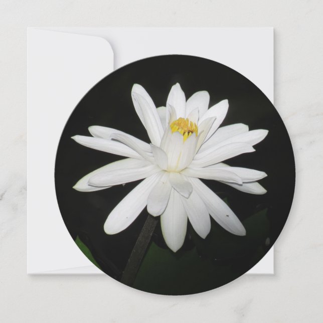 Personalized Round White Water Lily Floral Card (Front)