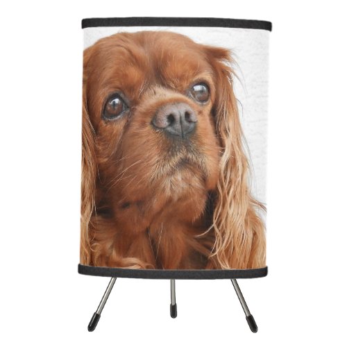 Personalized Ruby Cavalier King Charles Spaniel Tripod Lamp