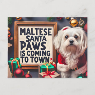 Personalized Santa Maltese Dog Merry Christmas Holiday Postcard