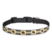 Personalized Schnoodle Dog Collar