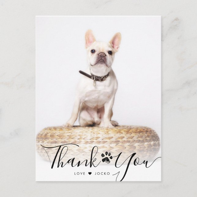 Personalized Script Pet Memorial Photo Thank You  Postcard (Front)