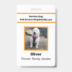 Personalized Service Dog Official Photo ID Modern Badge