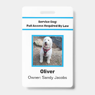 Personalized Service Dog Official Photo ID Simple Badge