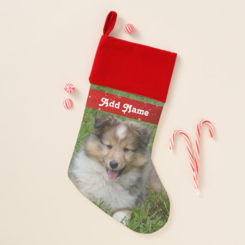 Personalized Shetland Sheepdog Christmas Stocking