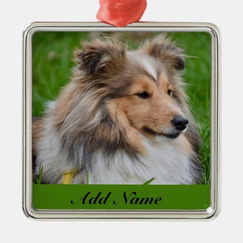 Personalized Shetland Sheepdog _ Sheltie Dog Metal Ornament
