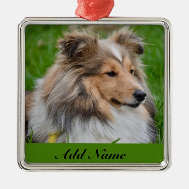 Personalized Shetland Sheepdog - Sheltie Dog Metal Ornament (Front)