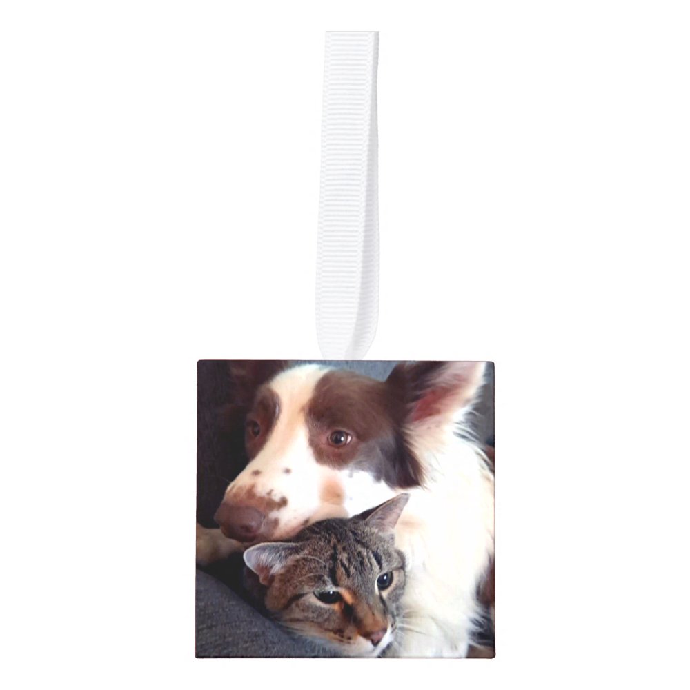 Disover Personalized Simple 4 Photos Red Cube Ornament