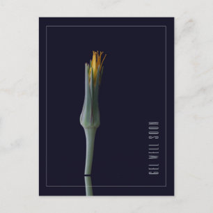 Personalized Simple Elegant Flower Get Well Soon Postcard