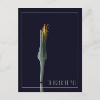 Personalized Simple Elegant Flower Thinking of You