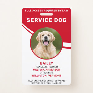 Personalized Simple Red Service Dog Photo ID  Badg Badge