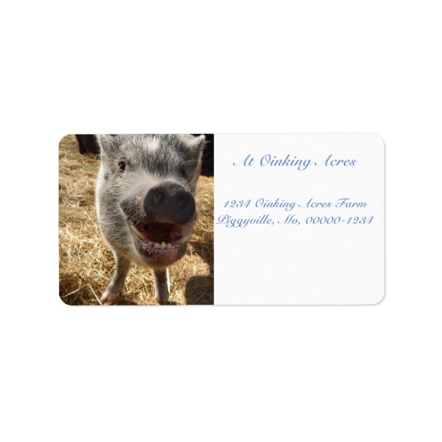 Personalized Smiling Mini Pig Address Labels (Front)