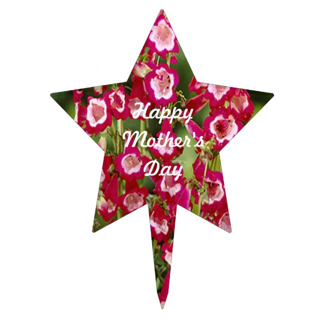 Personalized Snapdragon Flowers Cake Pick (Front)