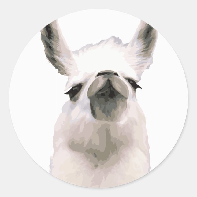 Personalized Snooty Snobby Llama Classic Round Sticker (Front)