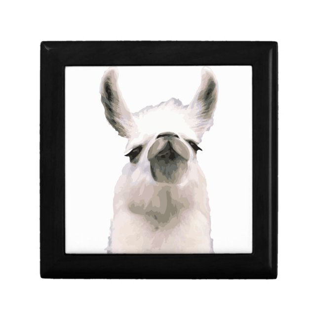 Personalized Snooty Snobby Llama Keepsake Box (Front)