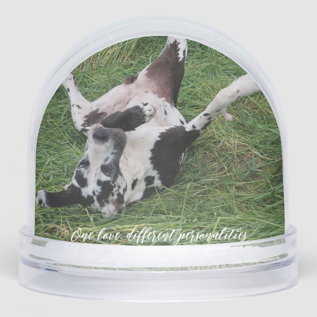 personalized snow globe featuring two of your own  (Front)