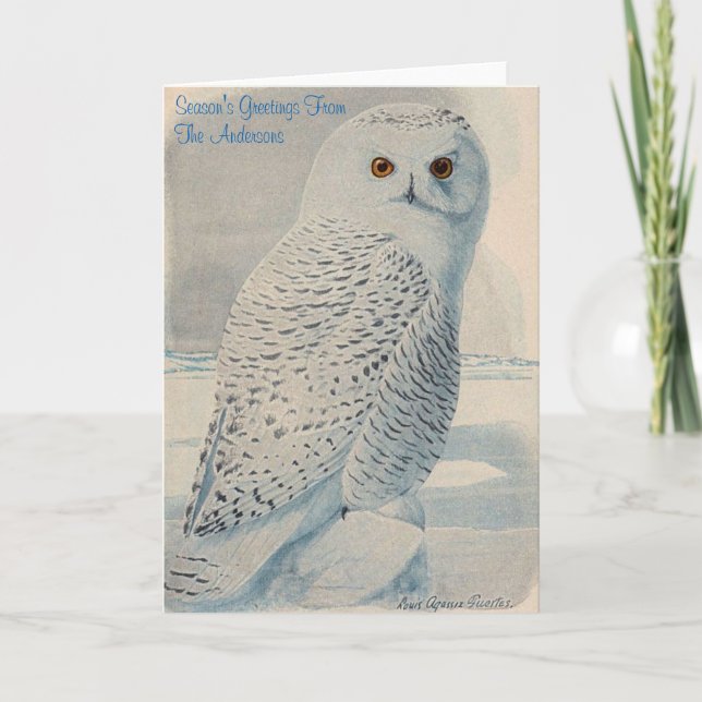 Personalized Snowy Owl Christmas Card (Front)