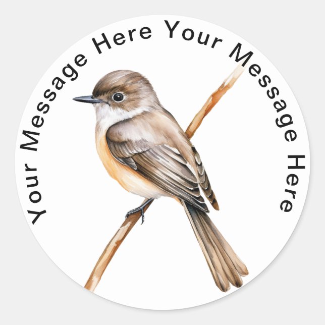 Personalized SongBird Stickers Eastern Phoebe  (Front)