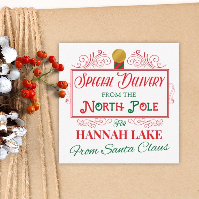 Personalized Special Delivery Christmas Gift Tag Enclosure Card (Creator Uploaded)